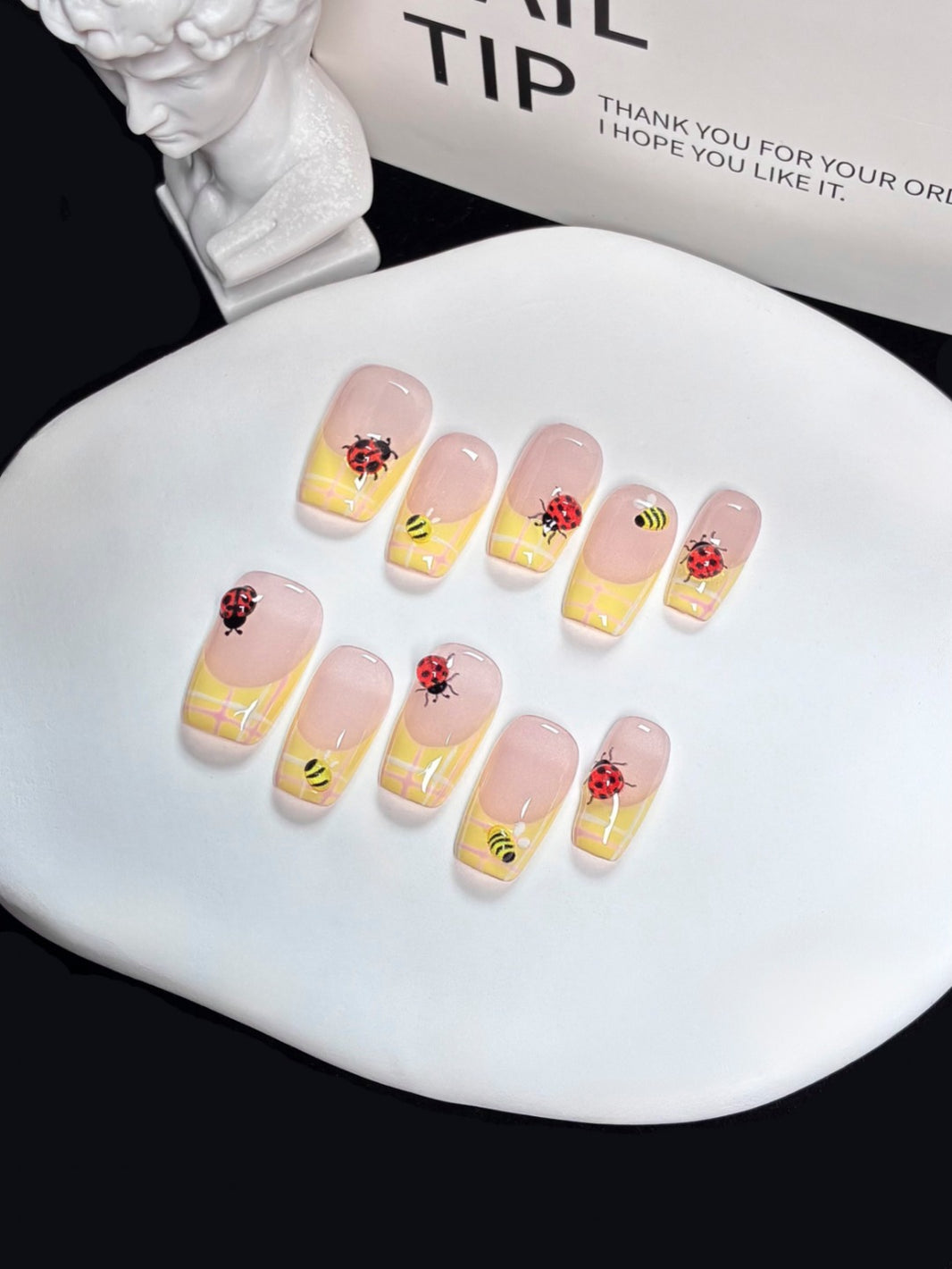 Spring Cartoon Bug Plaid Reusable Press On Manicure Set